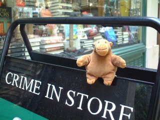 Mr Monkey sitting on a board outside Crime in Store bookshop