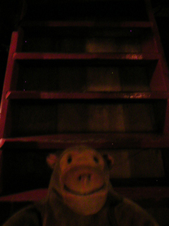 Mr Monkey on the stairs down into the hold