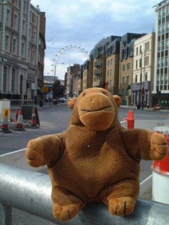 Mr Monkey on a roadworks barrier, with the London eye in the distance