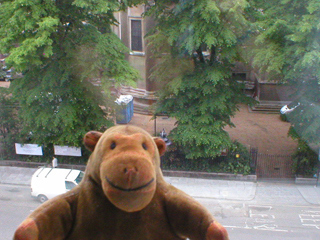 Mr Monkey looking out of his hotel window