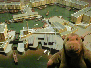 Mr Monkey looking at a model of St. Katherines Dock