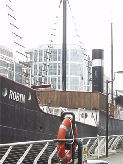 The side of the Robin