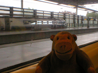 Mr Monkey looking out of the train at St Pancras