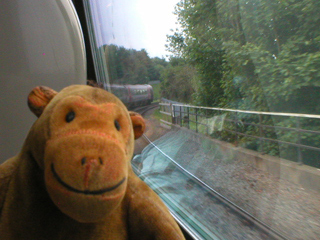 Mr Monkey looking out of the train on the way to Bristol