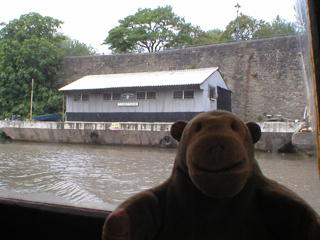 Mr Monkey looking at the Sea Scouts concrete barge