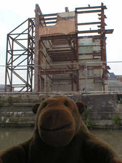 Mr Monkey looking at a building being rebuilt