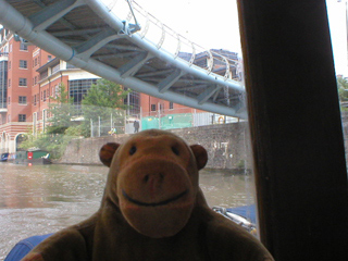 Mr Monkey looking up at Valentine Bridge