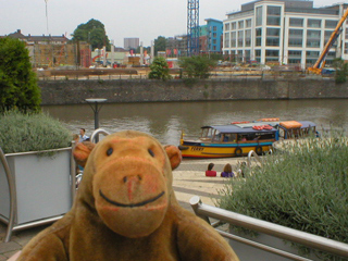 Mr Monkey looking back at the moored ferry
