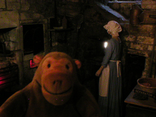 Mr Monkey looking at the old kitchen at Sally Lunn's
