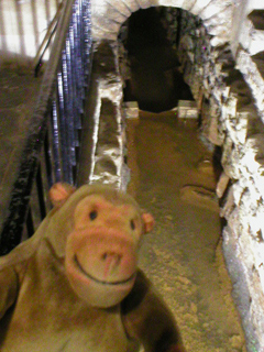 Mr Monkey looking at the Roman drain