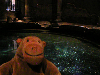 Mr Monkey looking at the west bath