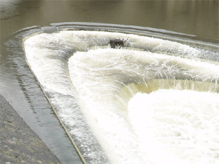 Pulteney Weir in the river Avon