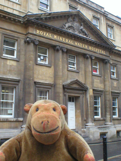 Mr Monkey looking at the Royal Mineral Hospital