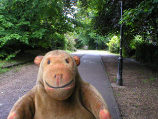 Mr Monkey on the Gravel Walk