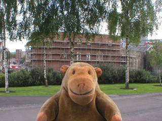 Mr Monkey looking at the D-Day trees in Castle Park