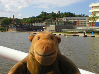 Mr Monkey looking towards Cabot Tower