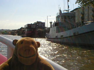 Mr Monkey looking at the Pride of Bristol