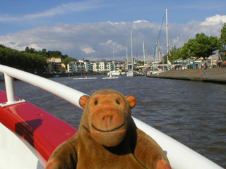 Mr Monkey looking at canoes in the harbour