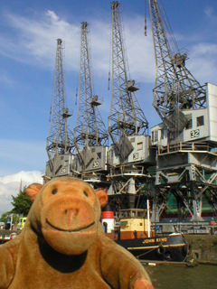 Mr Monkey looking at cranes on the quayside