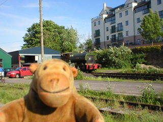 Mr Monkey watching an engine reverse into an engine shed