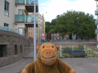 Mr Monkey looking at recently developed quayside buildings