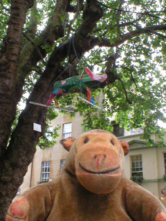 Mr Monkey looking up at a Pig of Paradise