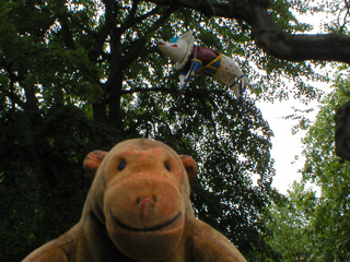 Mr Monkey looking up at Grimaldi