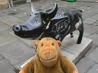 Mr Monkey looking at Pig Noir