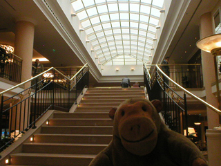 Mr Monkey looking up the stairs to the conference centre in the hotel
