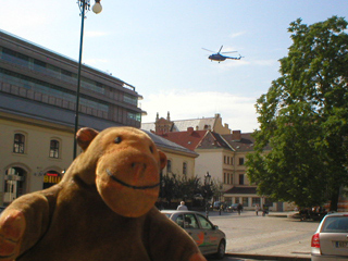 Mr Monkey watching a helicopter fly over the Hibernian House