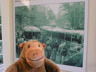 Mr Monkey looking at pictures of the Prague Spring