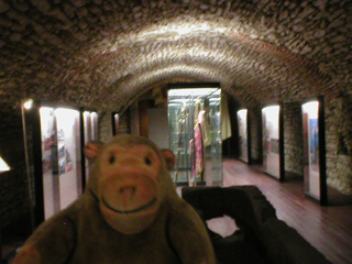 Mr Monkey in the Gothic Cellar