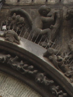 A stone monkey clambering around the Astronomical Clock
