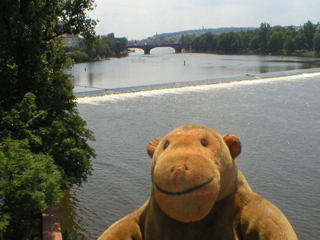 Mr Monkey looking at the weir beside Charles Bridge
