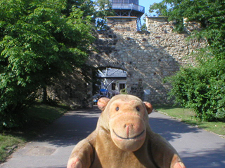 Mr Monkey looking at the Hunger Wall