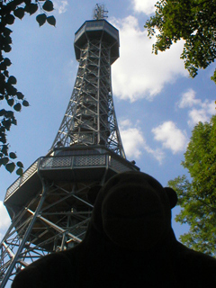 Mr Monkey looking up at the Observation Tower