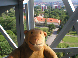 Mr Monkey looking down from the stairs of the Observation Tower