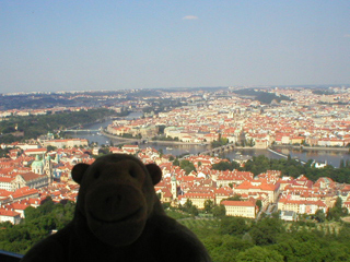 Mr Monkey looking at the Charles Bridge from the Observation Tower