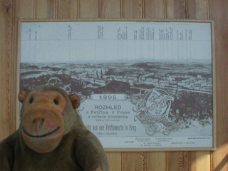 Mr Monkey looking at a period poster showing the view from the tower