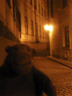 Mr Monkey walking up Seminářská