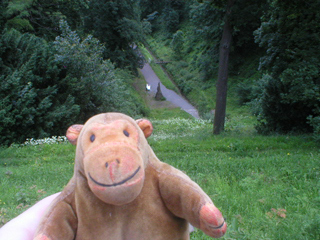 Mr Monkey looking down into the Deer Moat