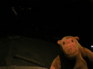 Mr Monkey looking at the roof of the second chamber