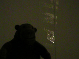 Mr Monkey examining some of the writing on the wall