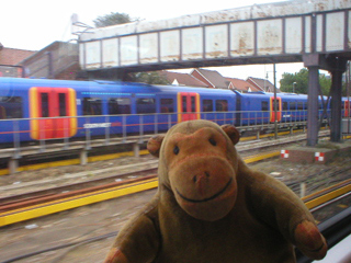 Mr Monkey looking  out of the train on the way to Portsmouth