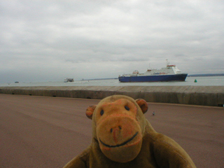 Mr Monkey watching a ferry in the Solent