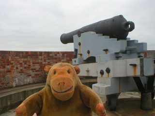 Mr Monkey looking at a 64 pounder cannon