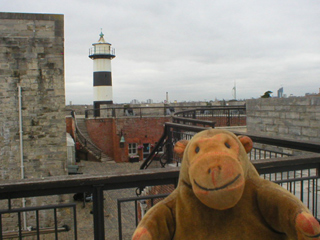 Mr Monkey looking across the castle from the south bastion
