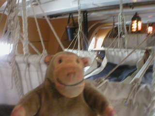 Mr Monkey looking at hammocks in the sick berth