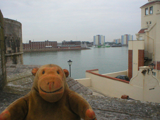 Mr Monkey looking across the Solent from Tower Street