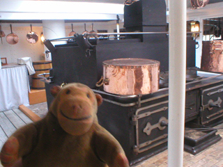 Mr Monkey looking at the galley